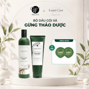 Cặp gừng trắng Weilaiya