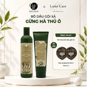 Cặp gừng hà thủ ô Weilaiya